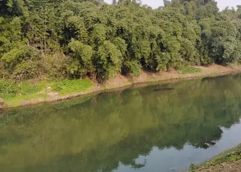 油坊沟重点山洪沟防洪治理项目监理服务